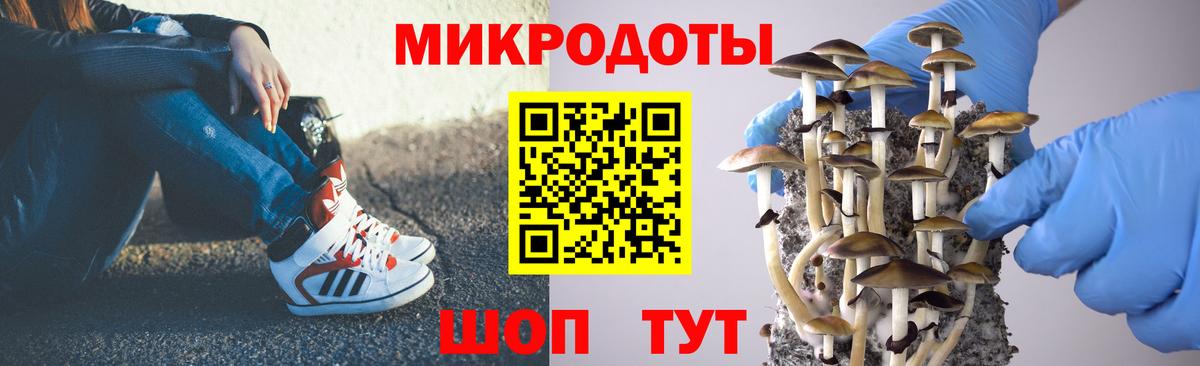 Галлюциногенные грибы Magic Shrooms  Вход с VPN  Коркино  хочу   Псилоцибиновые грибы мицелий 