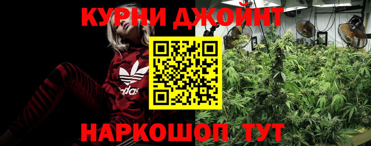 Канабис сатива Коркино